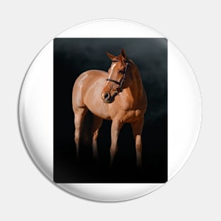 Horse on a Black Background Pin