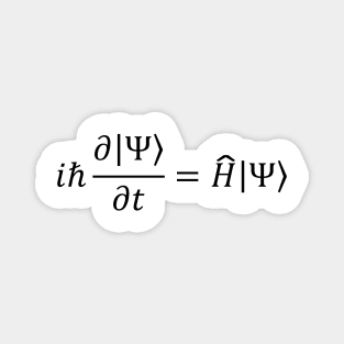 Schrodinger Equation - Quantum Mechanics And Science Magnet