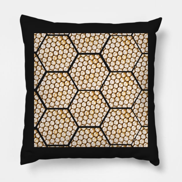 Honey Combs up close picture bees Pillow by tziggles