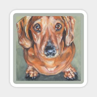 Dachshund Fine Art Painting Magnet