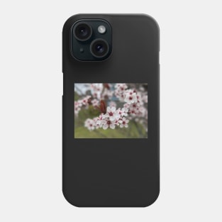 Cherry Blossoms 1 Phone Case