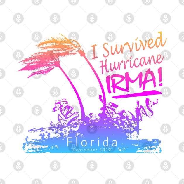 I survived Hurricane Irma by Etopix