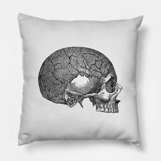 Vein and Skull Diagram - Vintage Anatomy Pillow by Vintage Anatomy Prints