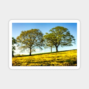 Beautiful Buttercup Meadow Magnet