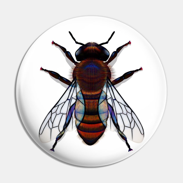 Second Bee Pin by crunchysqueak