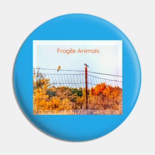 FRAGILE ANIMALS Pin