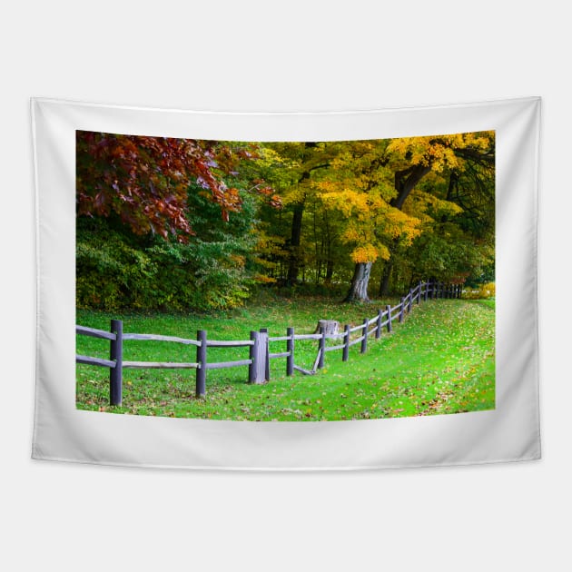 Colorful fall landscape Tapestry by Carlosr1946