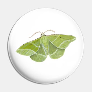 Showy Emerald Moth Pin