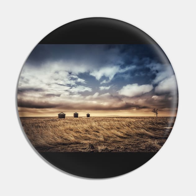 Windswept Grasslands Pin by ElevatedCT