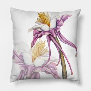 Aquilegia watercolor flower Pillow