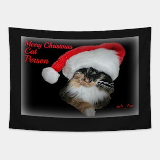 Merry Christmas Cat Person Tapestry