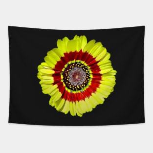 Tricolour Chrysanthemum Ismelia Carinata Painted Style Pattern Tapestry