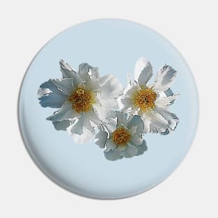 Three White Peonies Pin