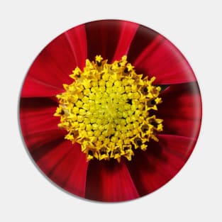 Cosmos in Red Pin