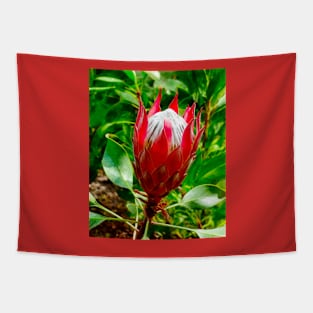 The King Protea Tapestry