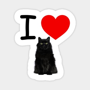 I HEART BLACK BLACK PERSIAN CAT Magnet