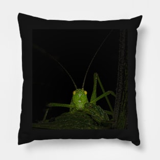 green grasshopper looks at someone creepy Pillow