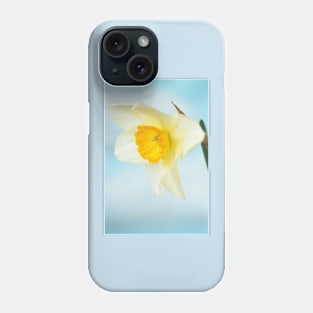 Narcissus  &#39;Sempre Avanti&#39;   Div. 2  Large-cupped  Daffodil Phone Case