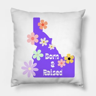 Groovy Idaho Pillow