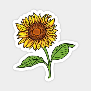 Vintage Sunflower Magnet