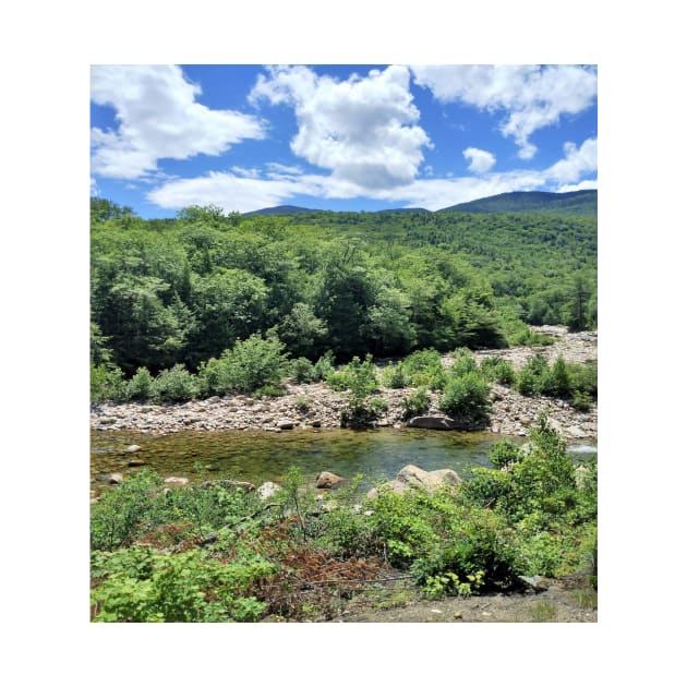 Saco River, White Mountains, New Hampshire, US by allthumbs