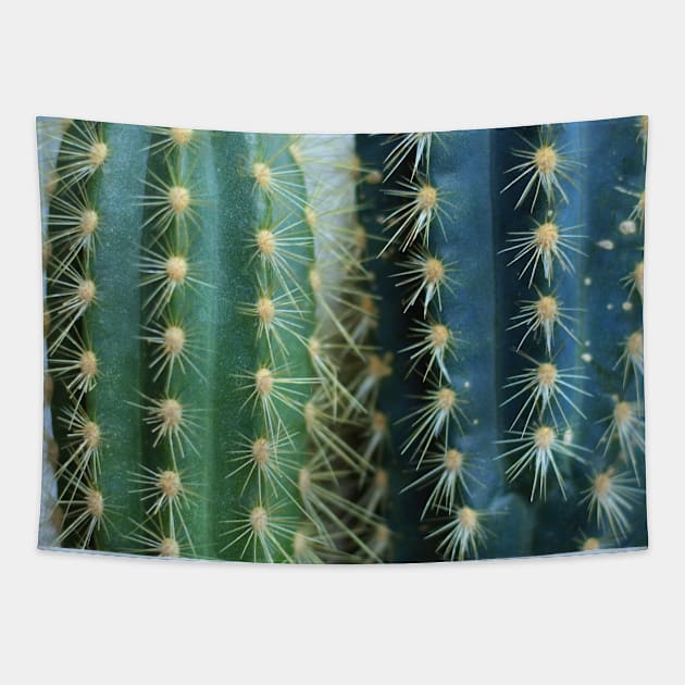 heyK's prickly cactus accessoires Tapestry by heyK