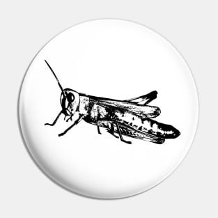 Grasshopper black Pin