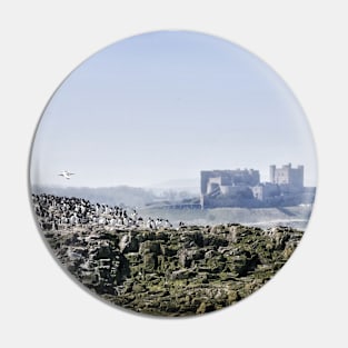 Guillemots on the Farne islands with Bamburgh Castle in the distance Pin