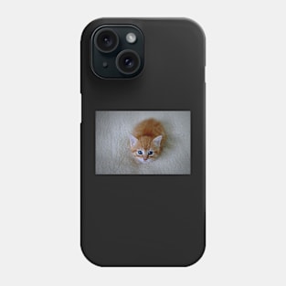 Sapphire Eyes Phone Case