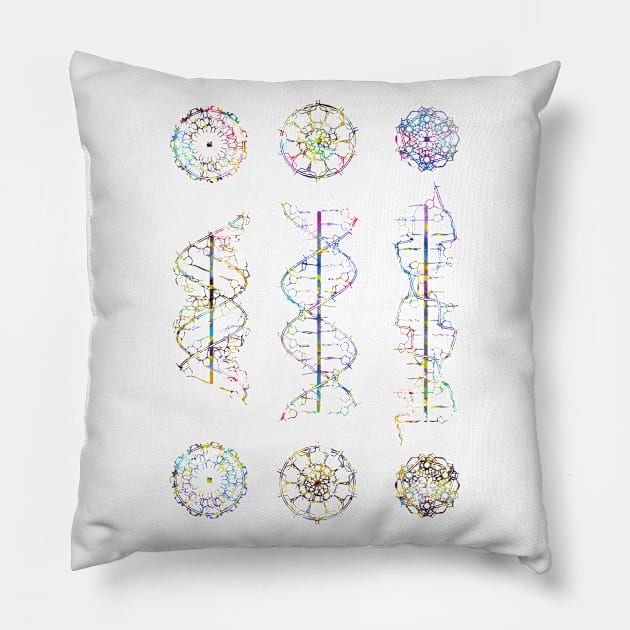 A-,B-, and Z-DNA Pillow by erzebeth