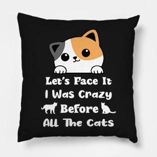 Let's Face It I Was Crazy Before All The Cats Gift For Cats Lovers Pillow