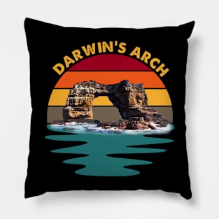 Darwin's arch vintage Pillow