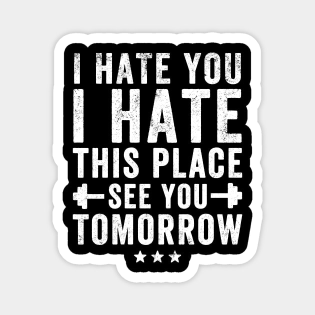 I hate you I hate this place see you tomorrow Magnet by captainmood