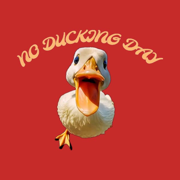 no ducking day by hot_issue