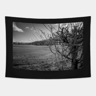 A leafless hedge in the English countryside Tapestry