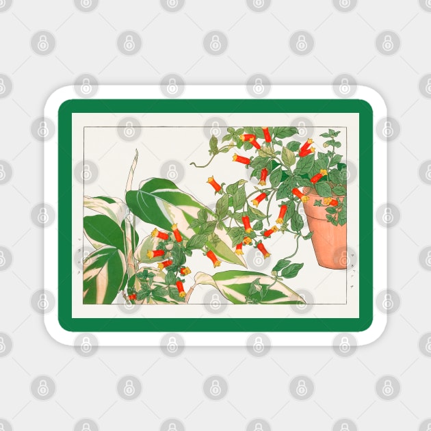 House plants and flowers Japan art illustration Magnet by Danielleroyer