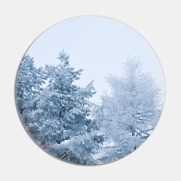 Winter wonderland Pin by Purrfect