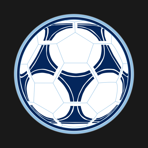 Vancouver Whitecaps Soccer Ball by TRNCreative