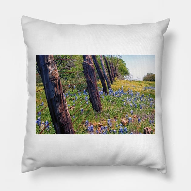 Flowers and Fence Posts Pillow by briankphoto