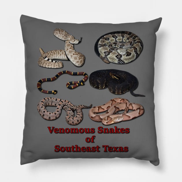 Venomous Snakes of Southeast Texas Pillow by Paul Prints