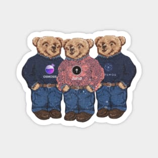 Cosmos Bears Magnet