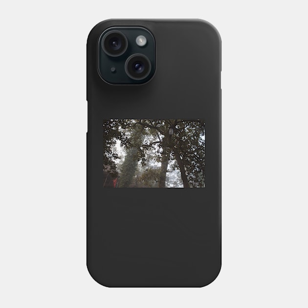 Through the Mist Phone Case by Jacquelie