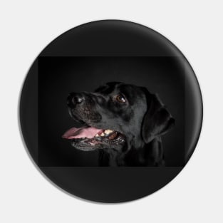 Labrador Retriever Pin