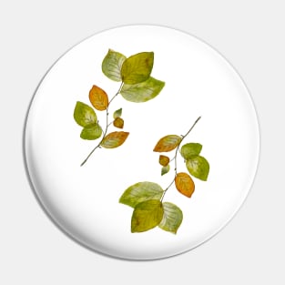 beech leaf pattern Pin