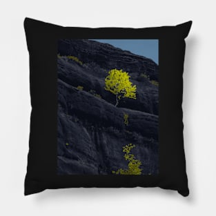 Black Rock Mountain - Landscape Pillow