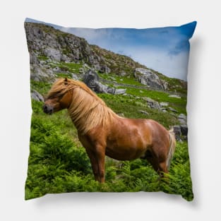 Welsh Mountain Pony Pillow