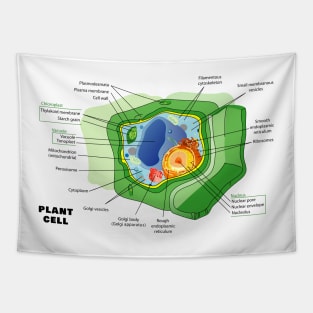 Diagram of a Plant (eukaryotic) Cell Tapestry