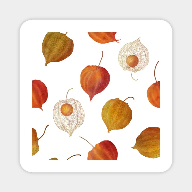 Physalis buds, Cape gooseberry flowers watercolor pattern. Colorful Golden berry. Autumn berries floral print Magnet by likapix