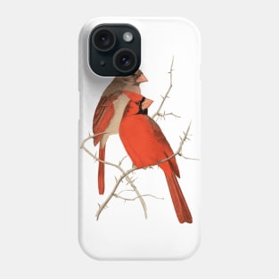 Vintage Cardinals Illustration Phone Case