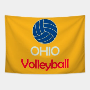 OHIO Volleyball Tapestry